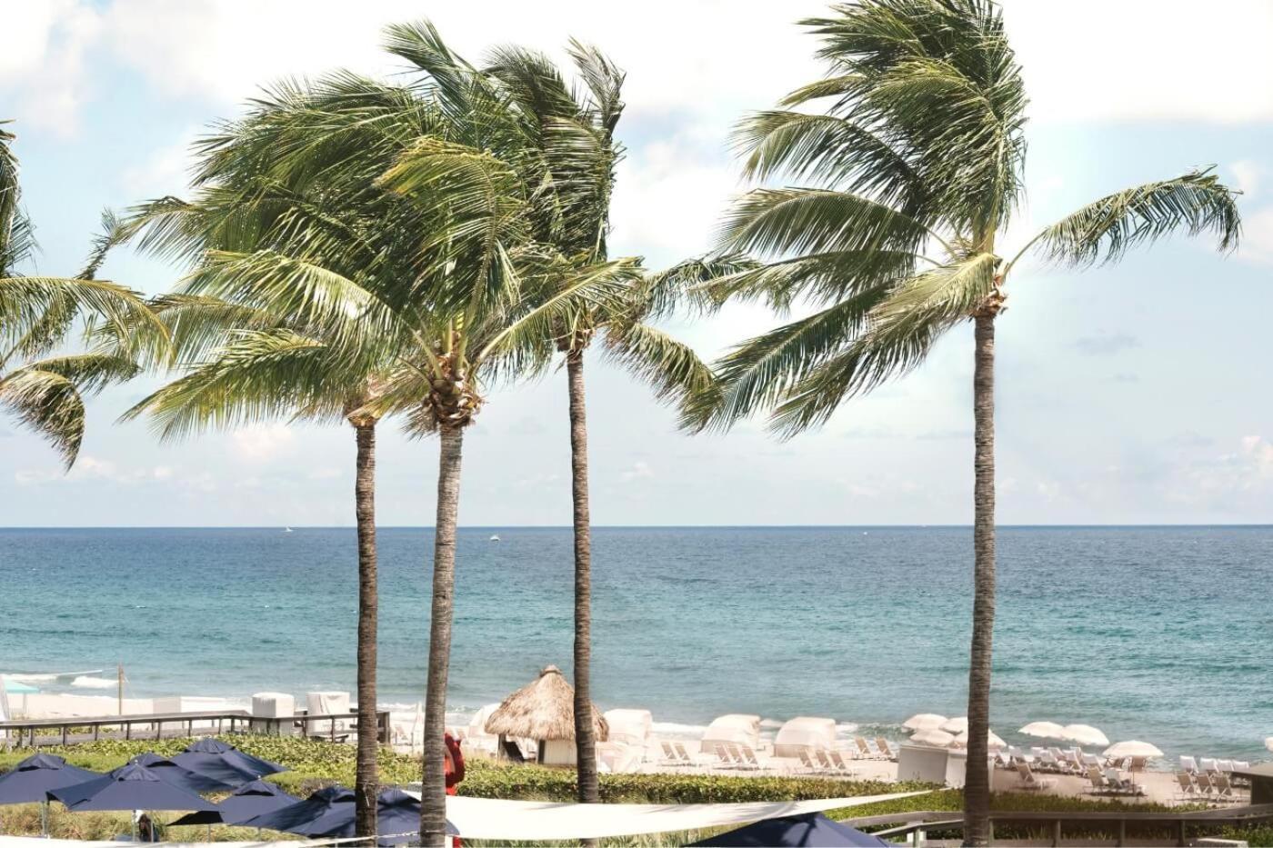 Beach Club At The Boca Raton Exterior photo